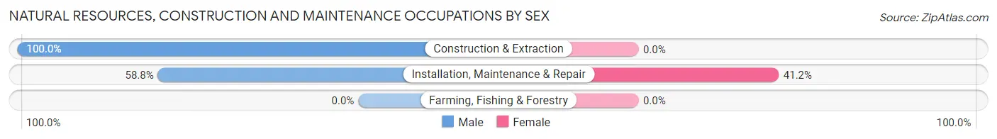 Natural Resources, Construction and Maintenance Occupations by Sex in Unionville