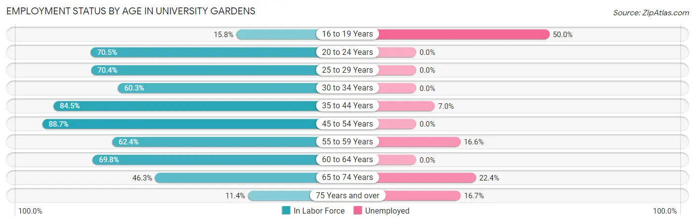Employment Status by Age in University Gardens