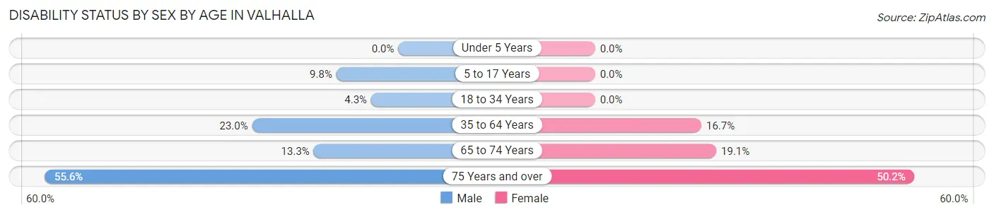 Disability Status by Sex by Age in Valhalla