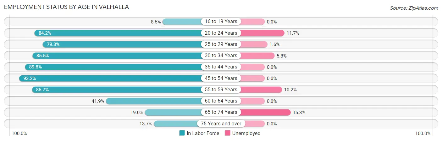 Employment Status by Age in Valhalla