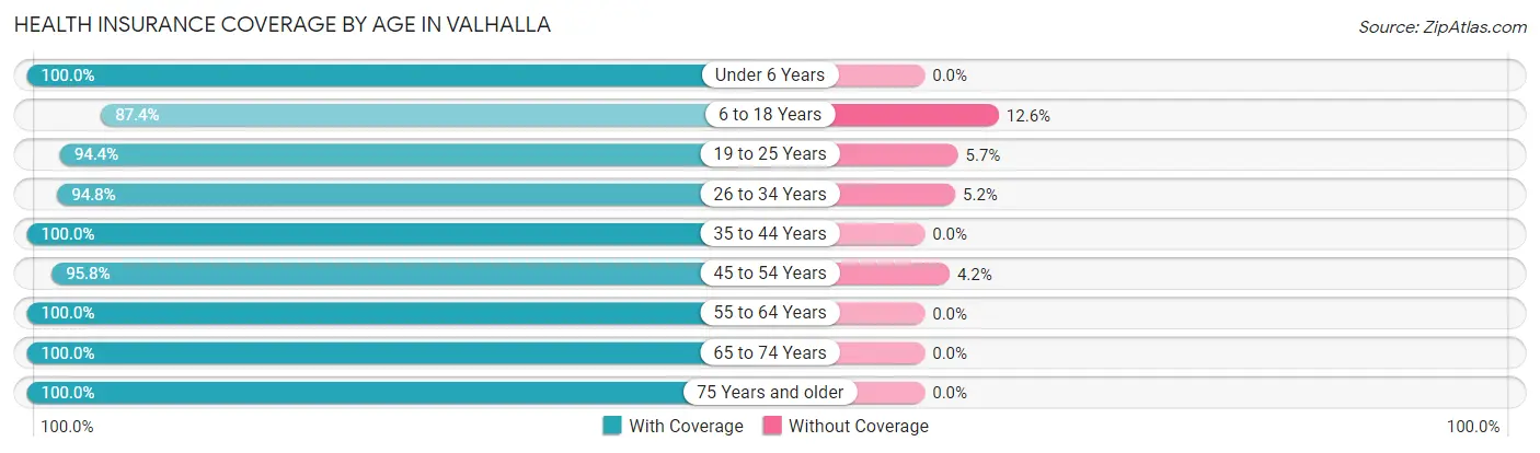 Health Insurance Coverage by Age in Valhalla
