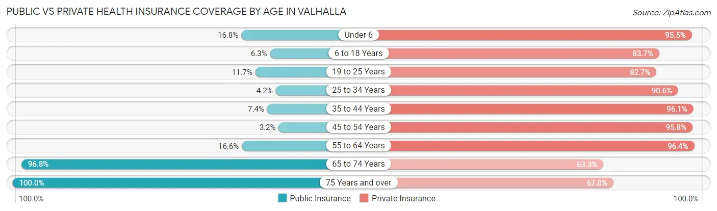 Public vs Private Health Insurance Coverage by Age in Valhalla
