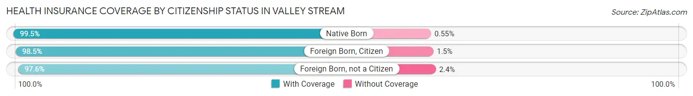 Health Insurance Coverage by Citizenship Status in Valley Stream