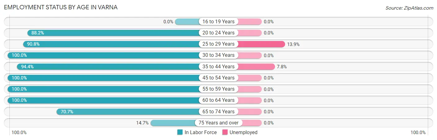 Employment Status by Age in Varna