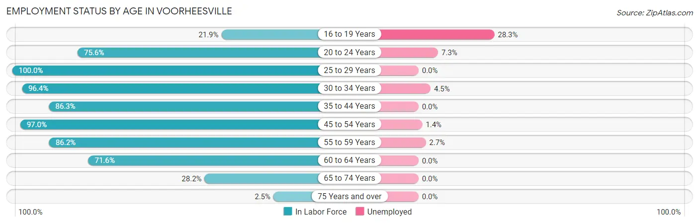 Employment Status by Age in Voorheesville