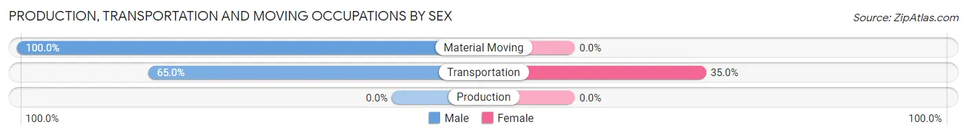 Production, Transportation and Moving Occupations by Sex in Voorheesville