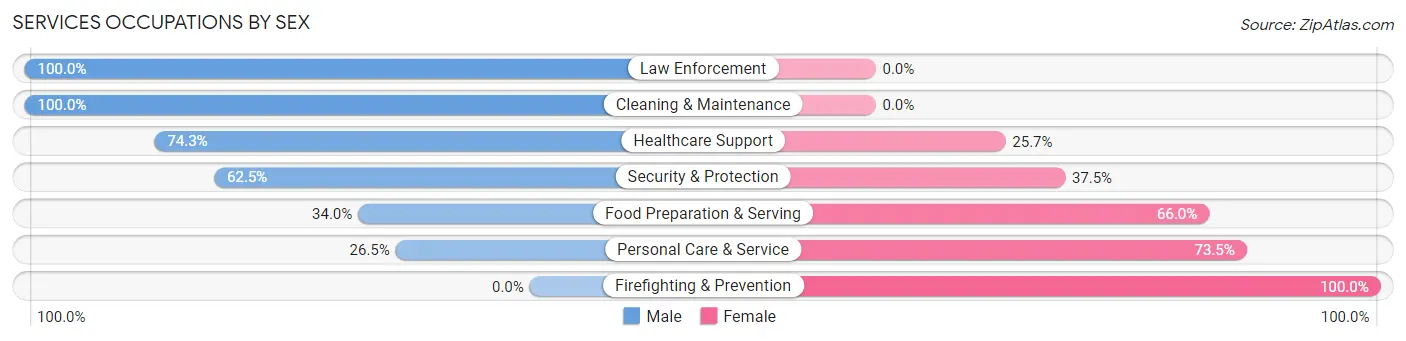 Services Occupations by Sex in Voorheesville