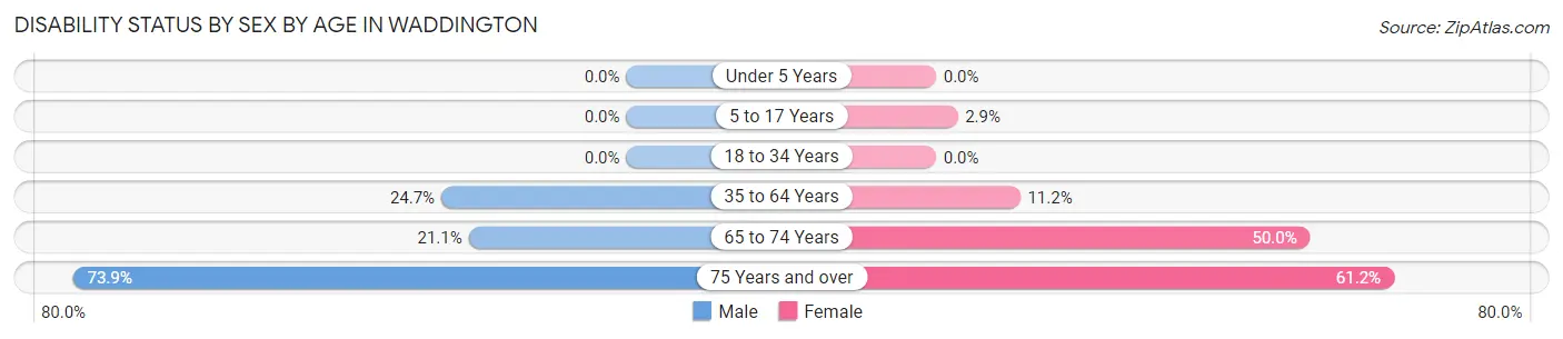 Disability Status by Sex by Age in Waddington