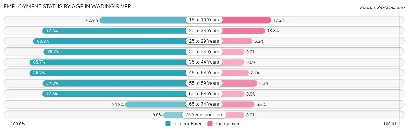 Employment Status by Age in Wading River