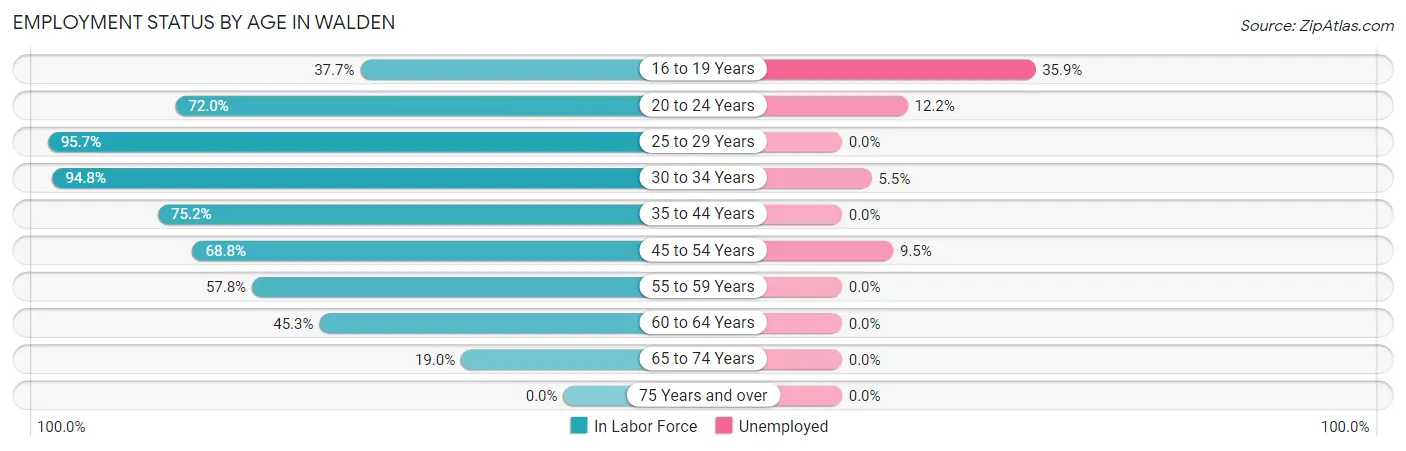 Employment Status by Age in Walden
