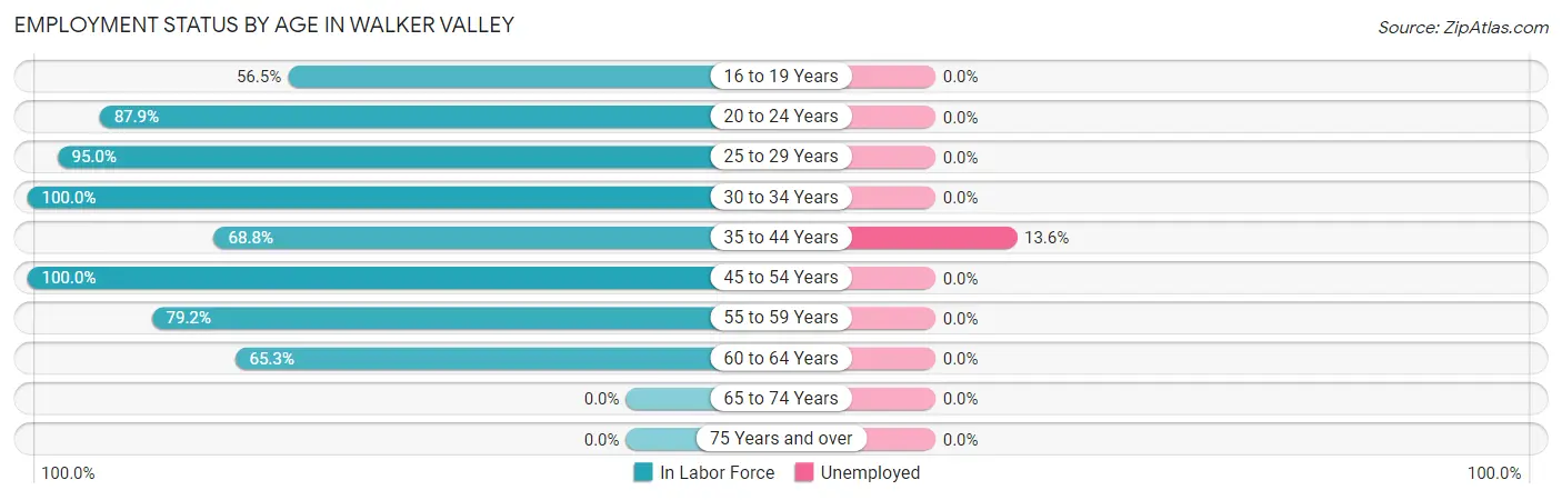 Employment Status by Age in Walker Valley