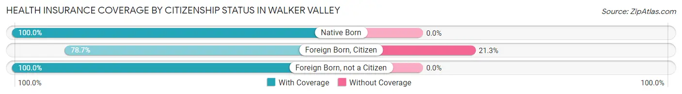 Health Insurance Coverage by Citizenship Status in Walker Valley