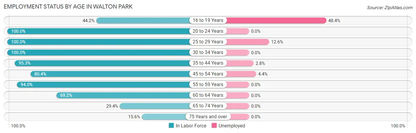 Employment Status by Age in Walton Park