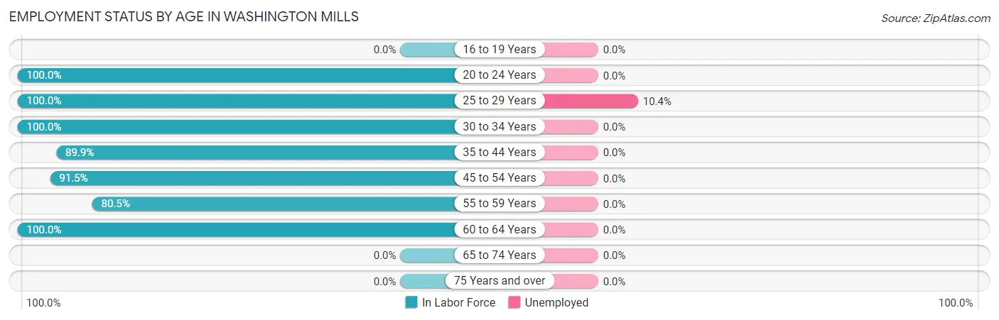 Employment Status by Age in Washington Mills