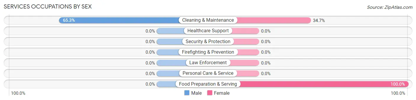 Services Occupations by Sex in Washington Mills