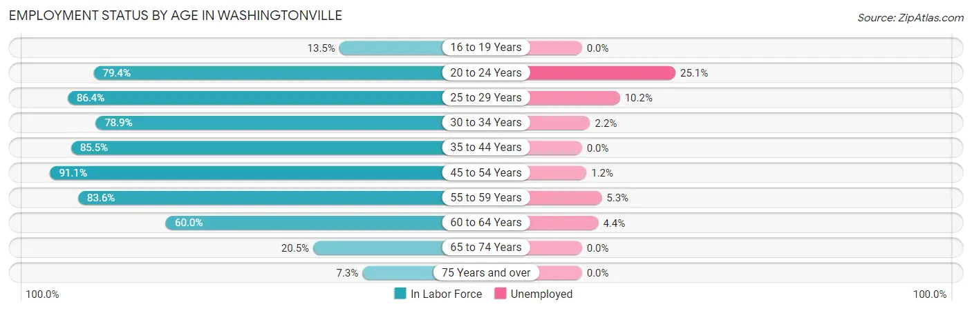 Employment Status by Age in Washingtonville