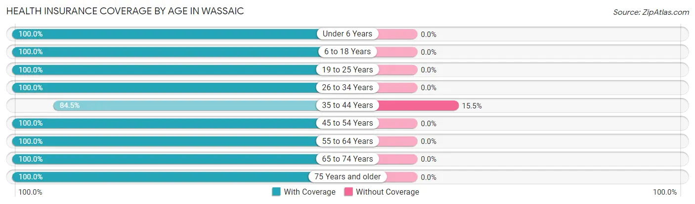 Health Insurance Coverage by Age in Wassaic