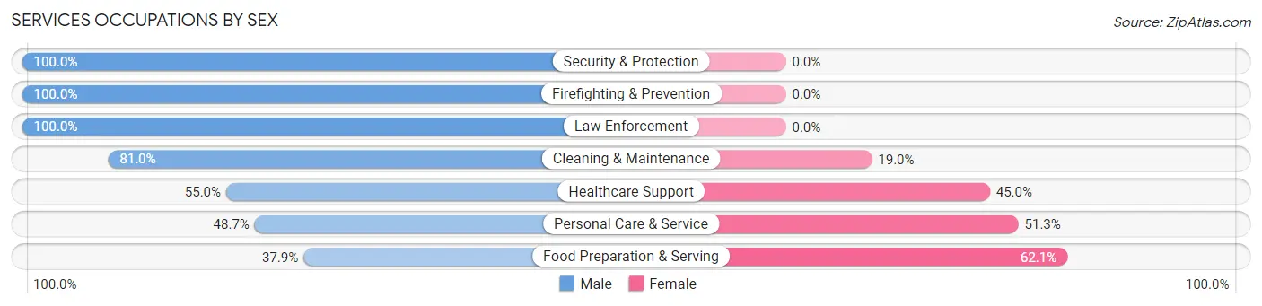 Services Occupations by Sex in Watervliet