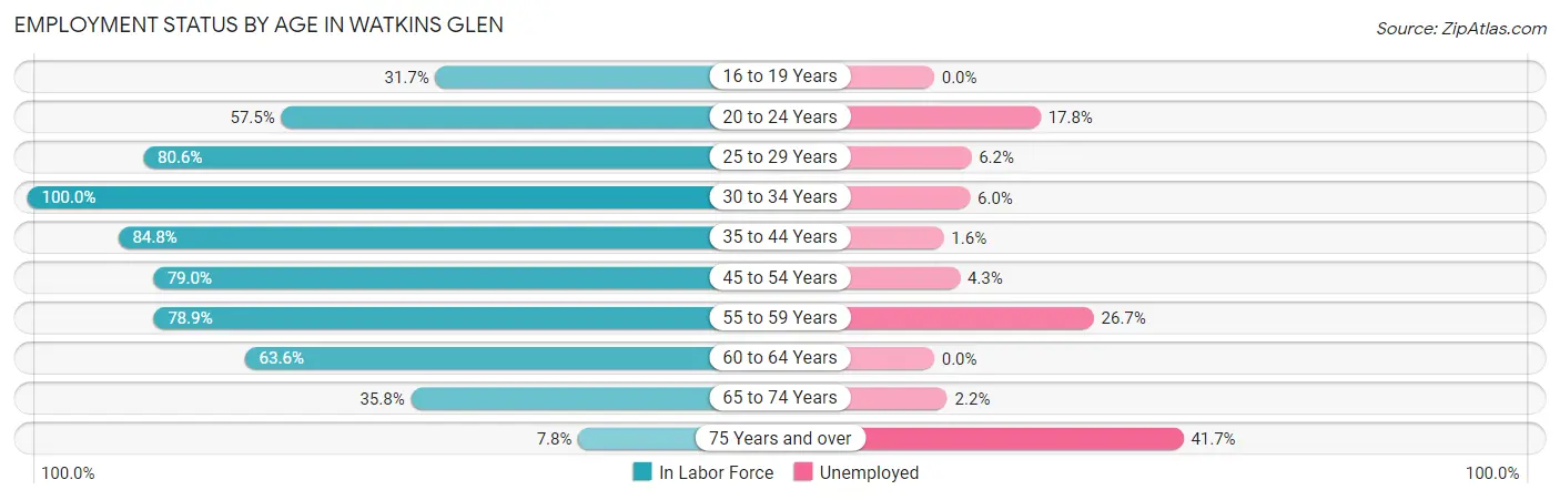 Employment Status by Age in Watkins Glen