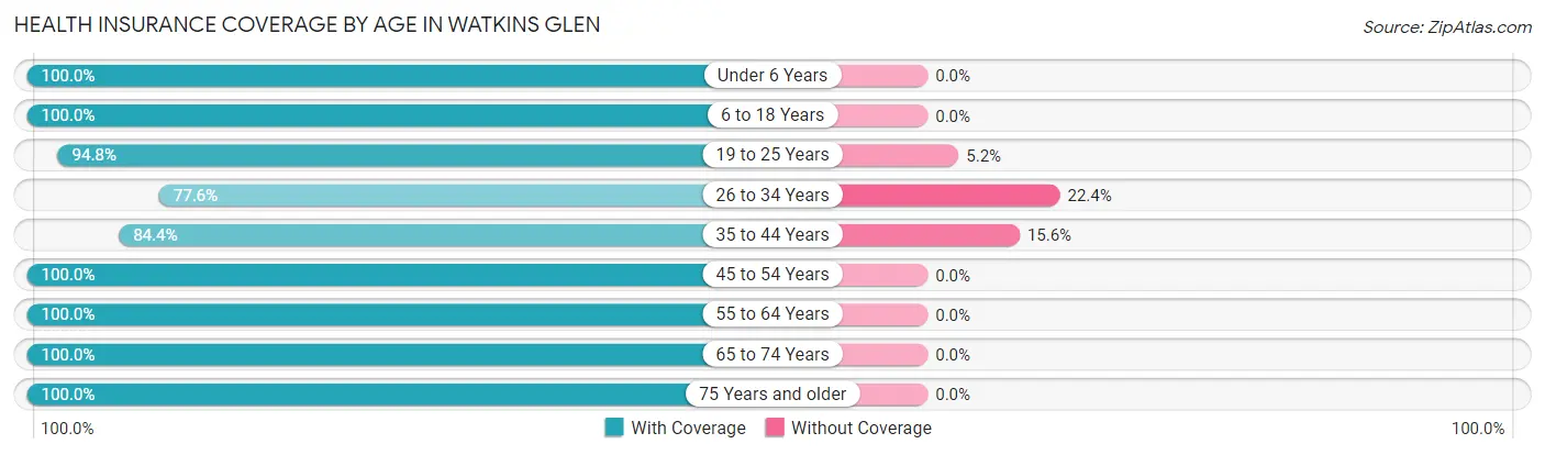 Health Insurance Coverage by Age in Watkins Glen
