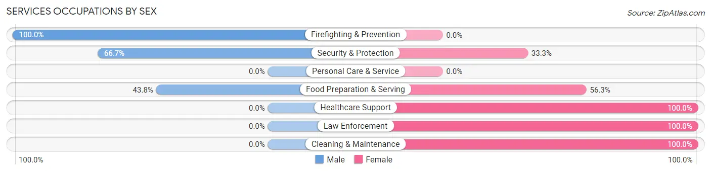 Services Occupations by Sex in Wells