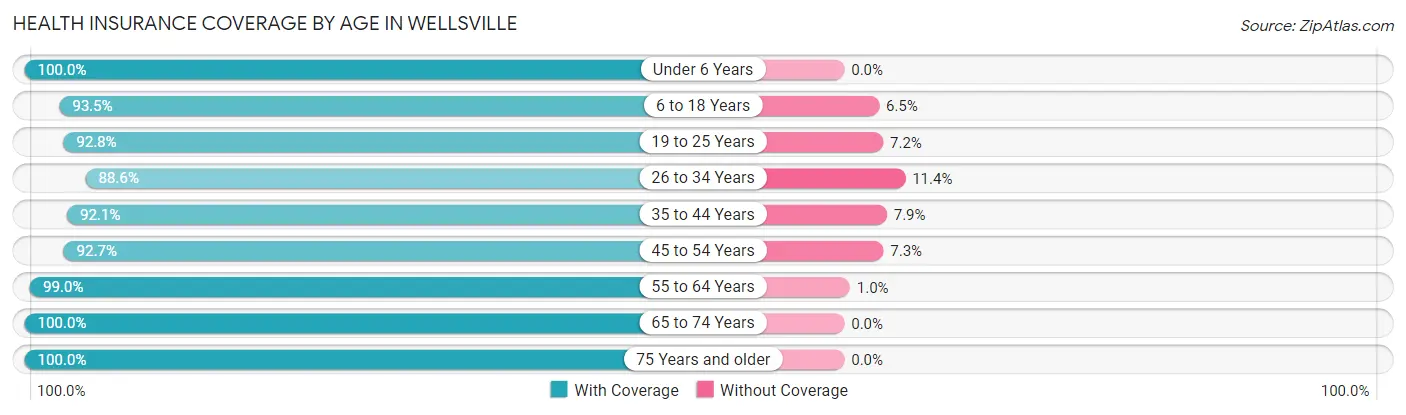 Health Insurance Coverage by Age in Wellsville