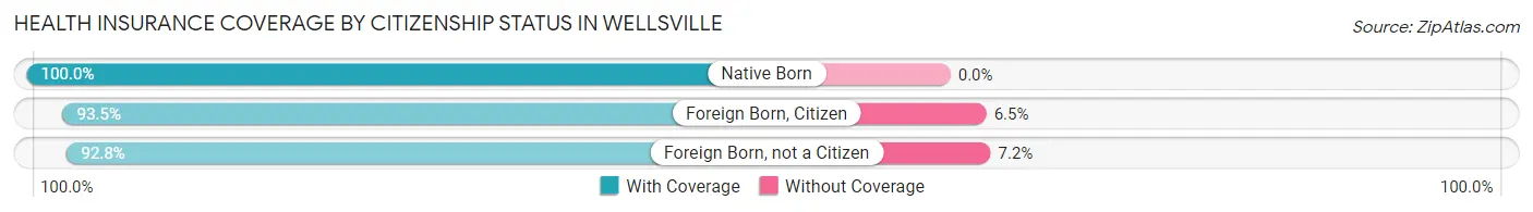 Health Insurance Coverage by Citizenship Status in Wellsville