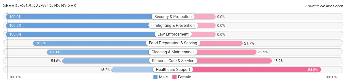 Services Occupations by Sex in West Haverstraw