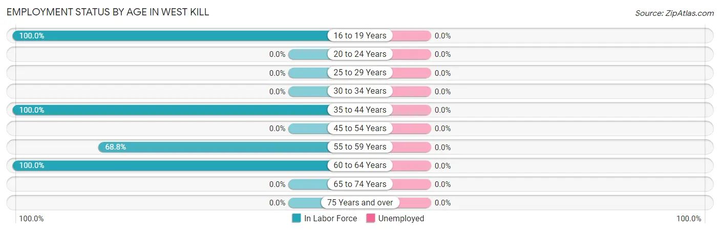 Employment Status by Age in West Kill