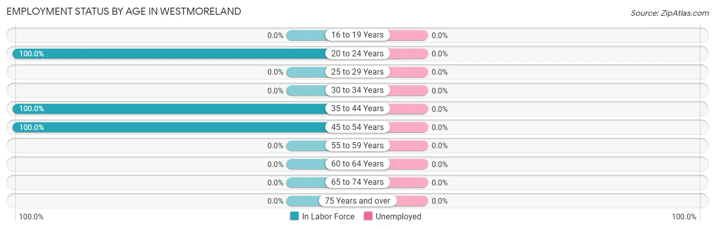 Employment Status by Age in Westmoreland