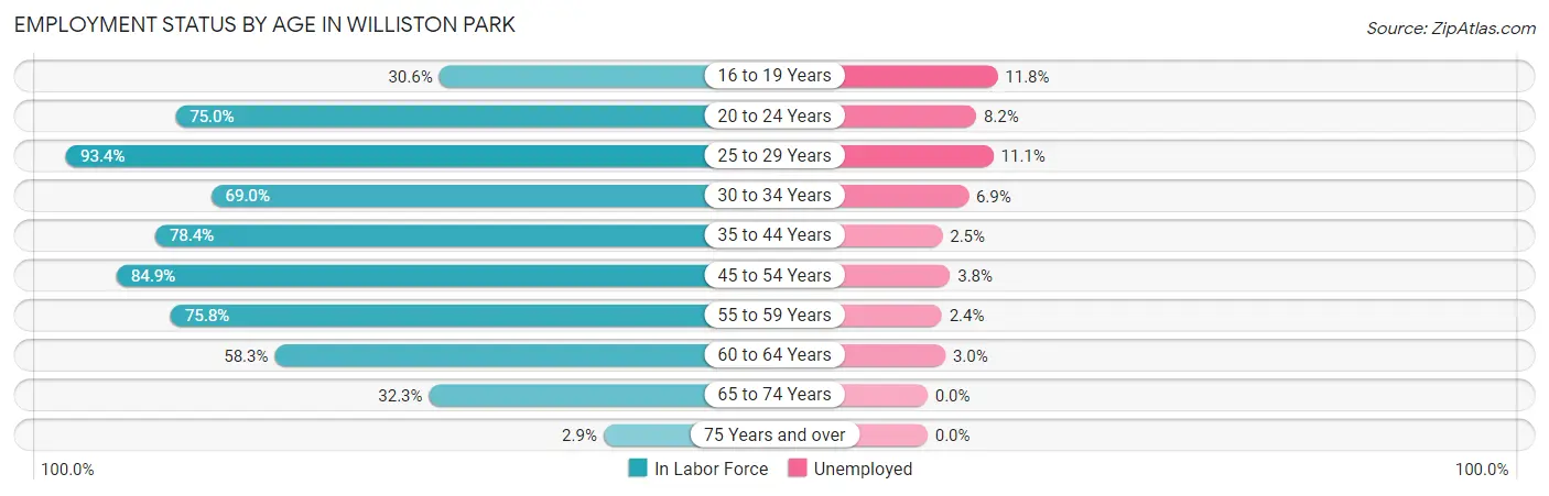 Employment Status by Age in Williston Park