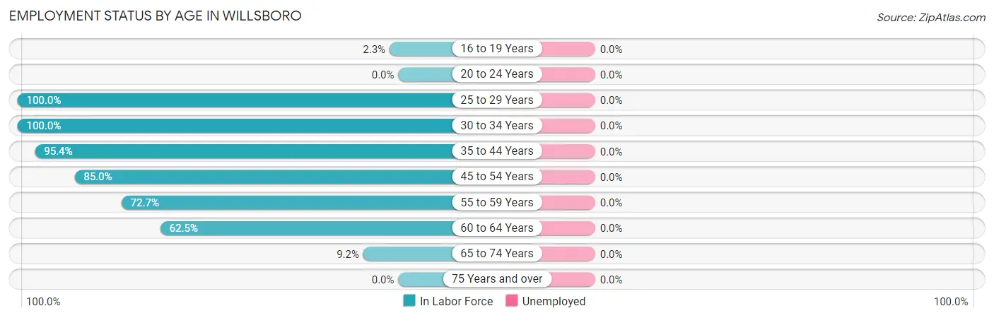 Employment Status by Age in Willsboro