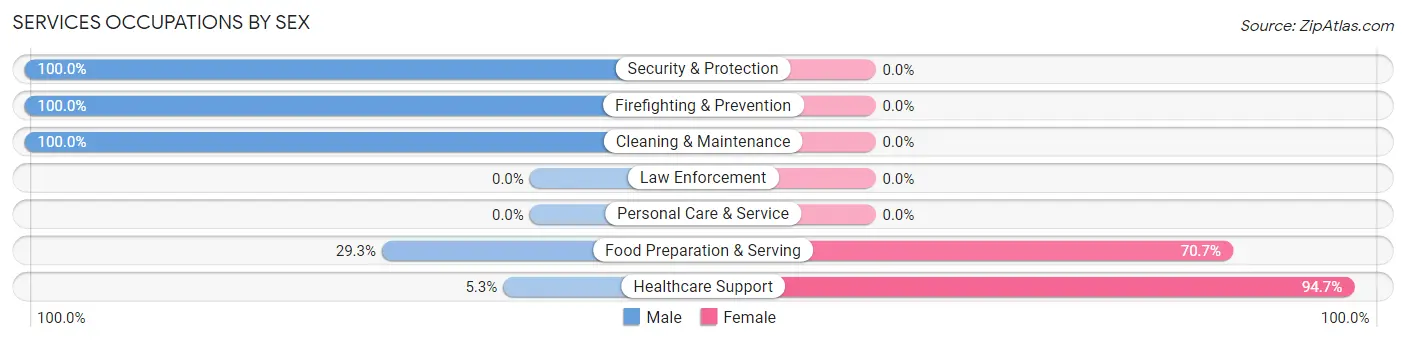 Services Occupations by Sex in Willsboro