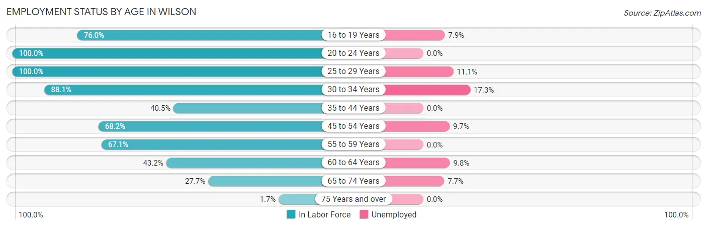 Employment Status by Age in Wilson