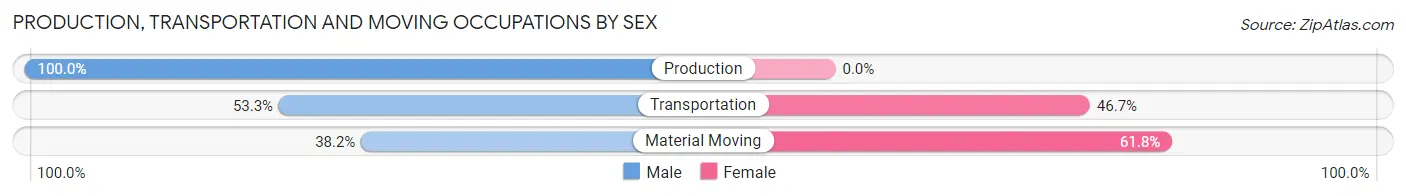 Production, Transportation and Moving Occupations by Sex in Wingdale