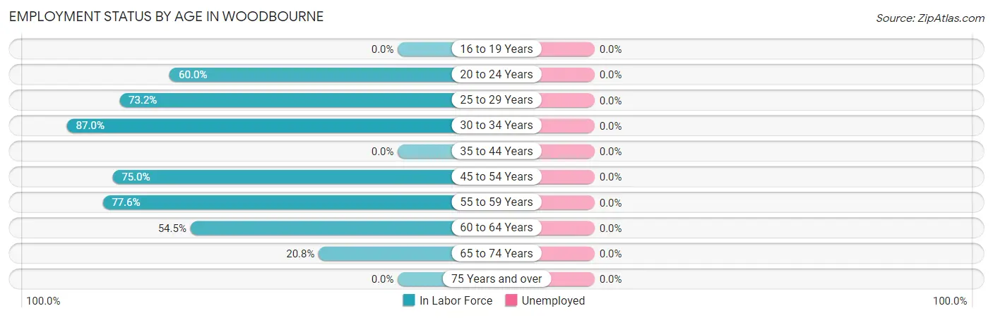 Employment Status by Age in Woodbourne