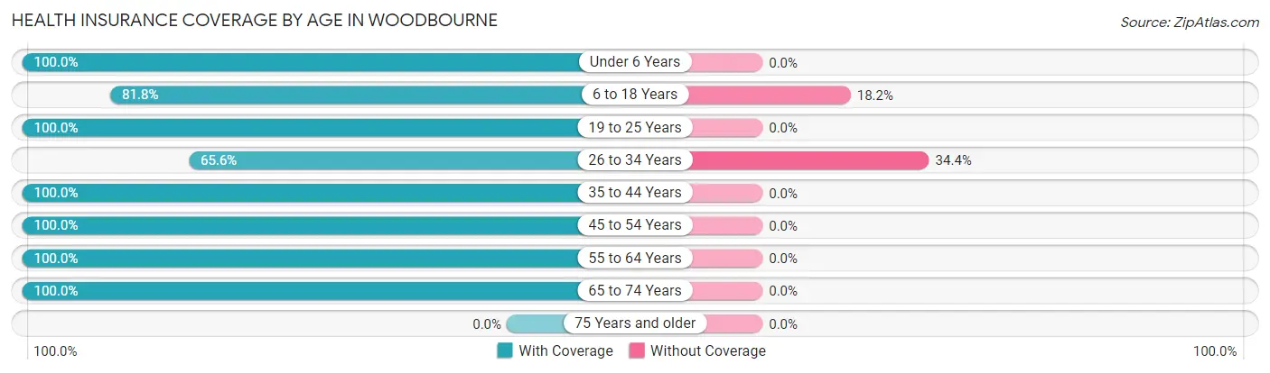 Health Insurance Coverage by Age in Woodbourne