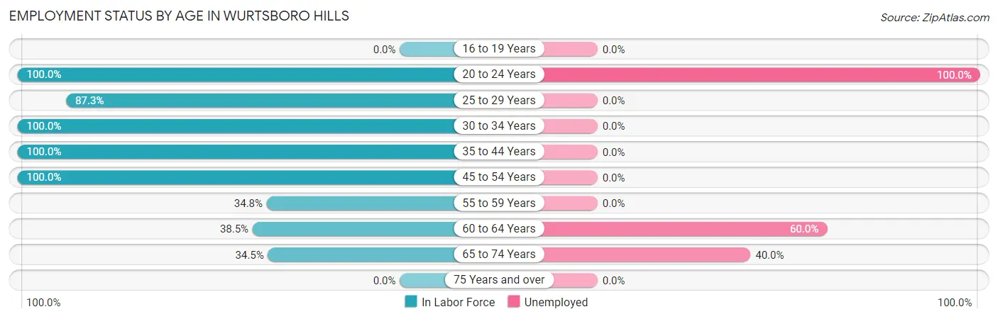 Employment Status by Age in Wurtsboro Hills