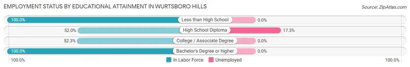 Employment Status by Educational Attainment in Wurtsboro Hills