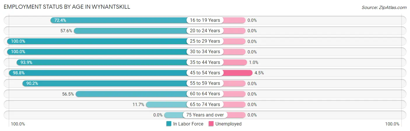 Employment Status by Age in Wynantskill