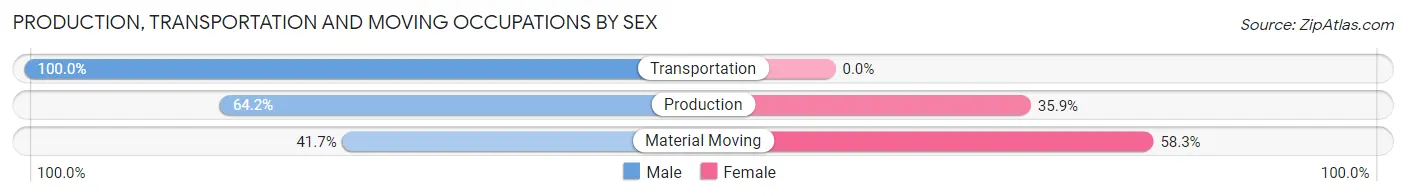 Production, Transportation and Moving Occupations by Sex in Wynantskill