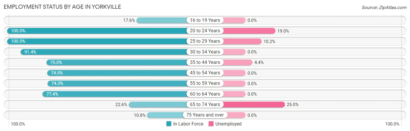 Employment Status by Age in Yorkville