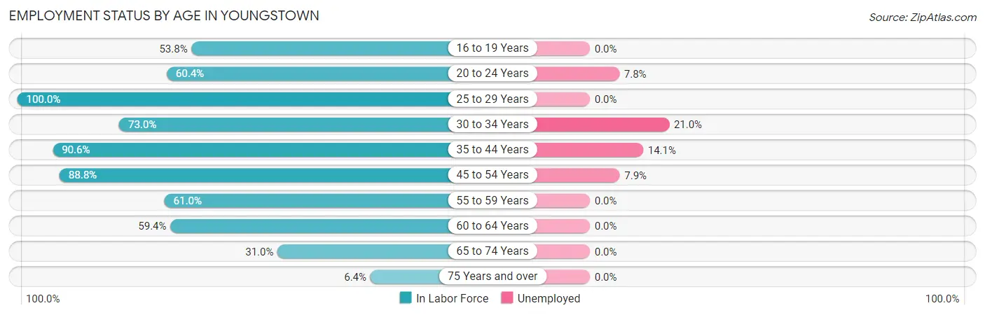 Employment Status by Age in Youngstown