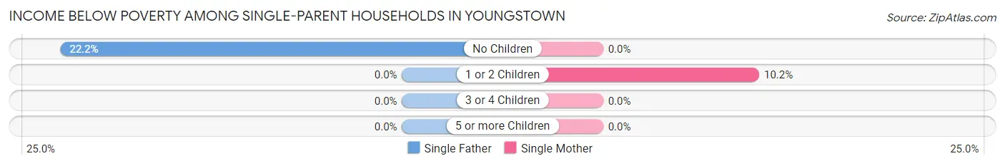 Income Below Poverty Among Single-Parent Households in Youngstown