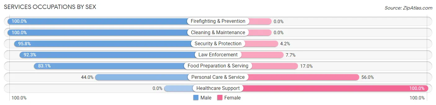 Services Occupations by Sex in Youngstown