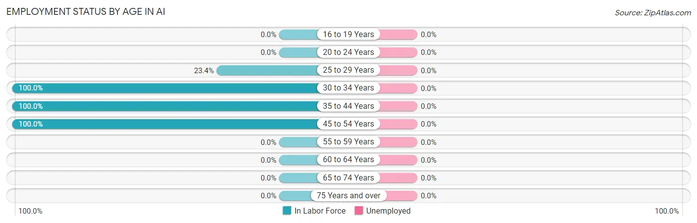Employment Status by Age in Ai