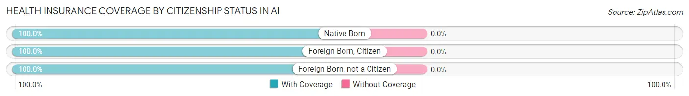 Health Insurance Coverage by Citizenship Status in Ai