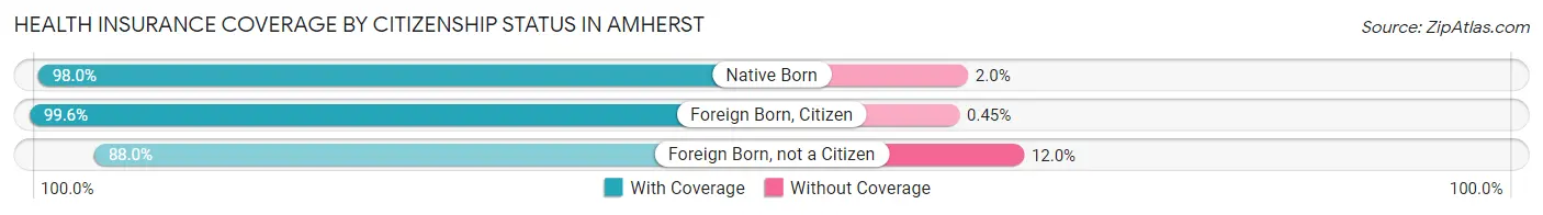 Health Insurance Coverage by Citizenship Status in Amherst