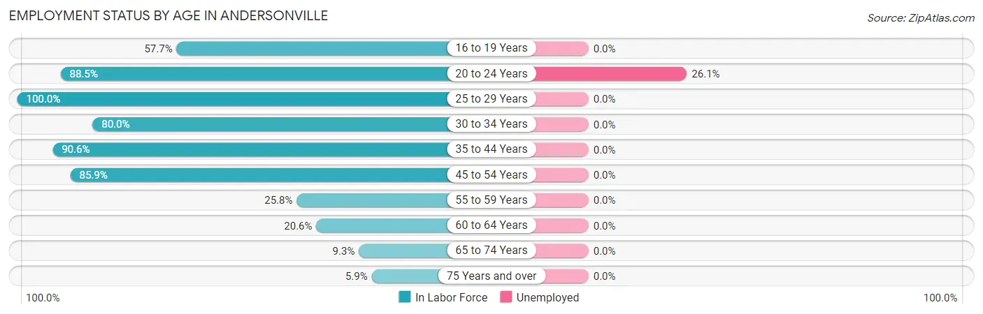 Employment Status by Age in Andersonville