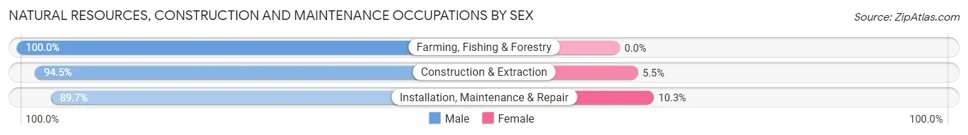 Natural Resources, Construction and Maintenance Occupations by Sex in Barberton